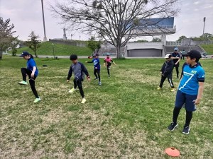 499975439_1176201270971788_4638963845346519629_n