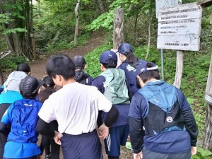 500227503_1181417033783545_3174490601174352710_n